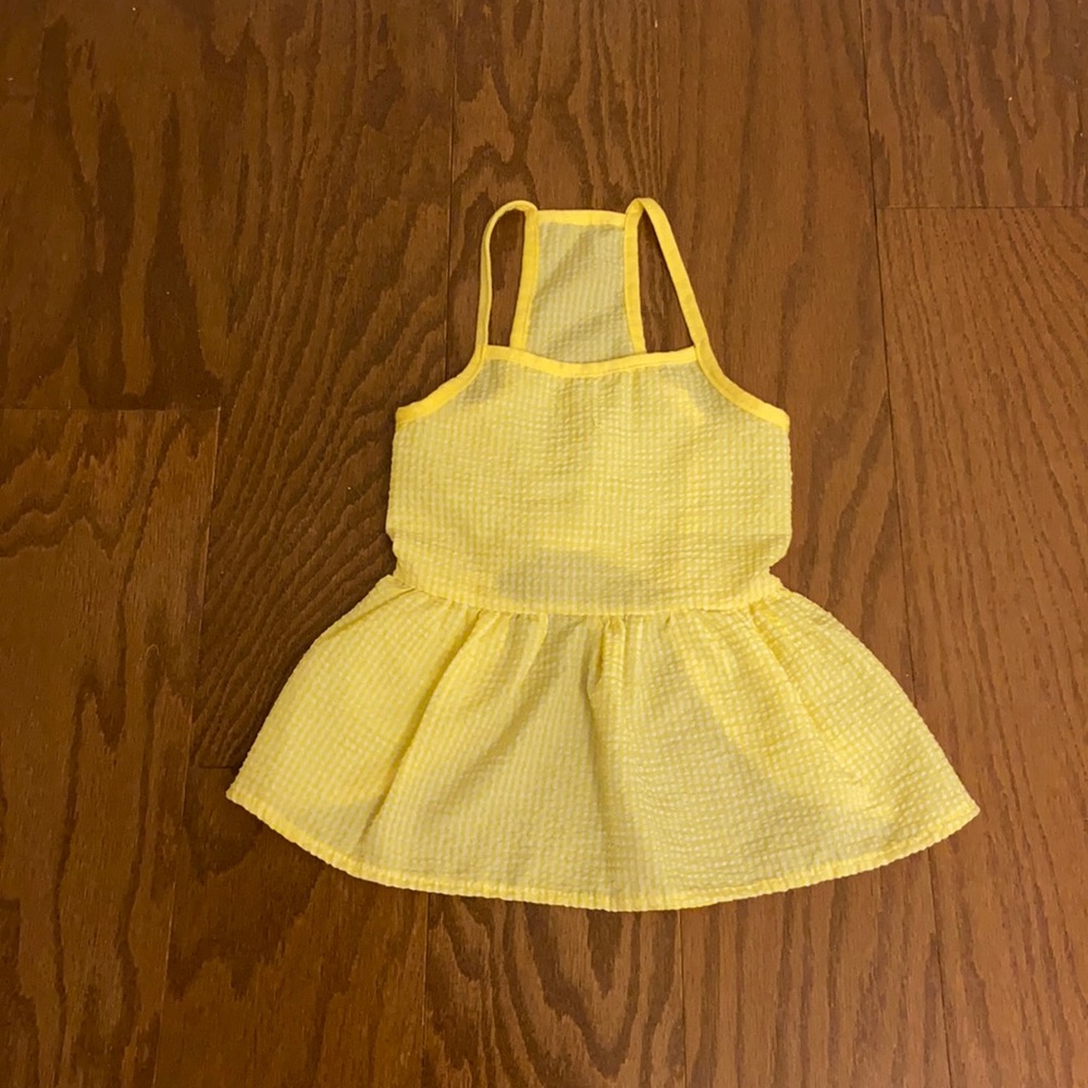 Dog’s dress